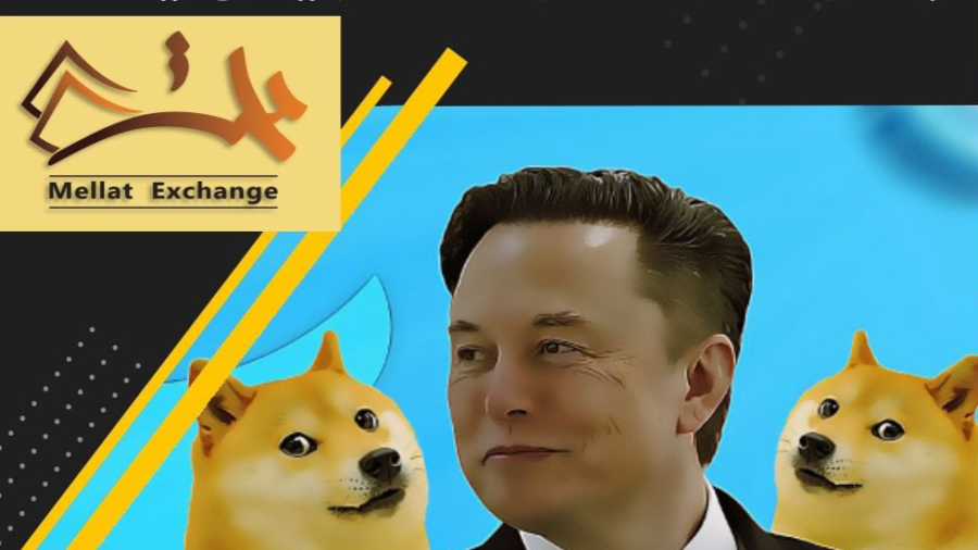 DOGE Surges 26% After Elon Musk Twitter Takeover
