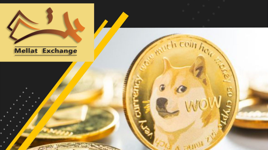 Vitalik Buterin and Elon Musk Will Work On The DOGE Upgrade Together – David Gokhshtein Predicts